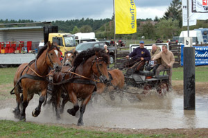 Ren Dahme mit einem 6-Spänner im Wassergraben, Ladeburger Kutschencorso 2011