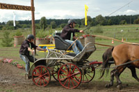 Galerie - Bild 103