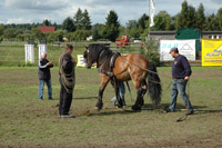 Galerie - Bild 108