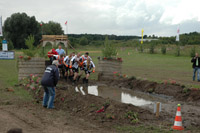 Galerie - Bild 112