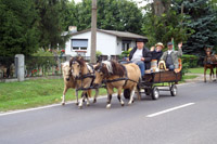 Galerie - Bild 121