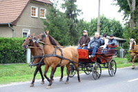 Galerie - Bild 123