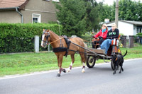 Galerie - Bild 126