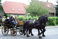 Galerie - Bild 128