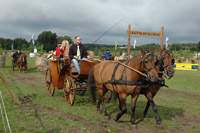 Galerie - Bild 13