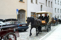Galerie - Bild 139