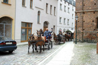 Galerie - Bild 140