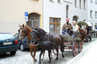 Galerie - Bild 141