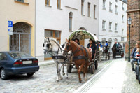Galerie - Bild 142