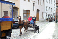 Galerie - Bild 146