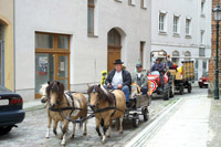 Galerie - Bild 147
