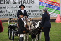 Galerie - Bild 157